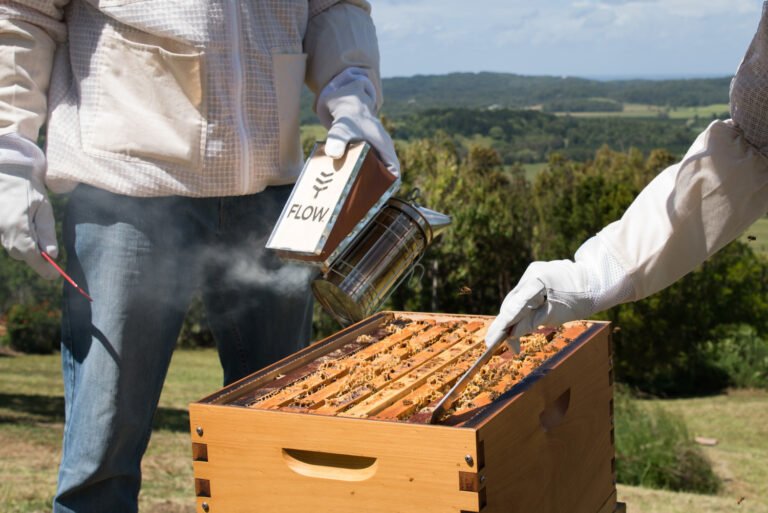 What Is The Best Smoker Fuel? Beekeeping in Fiji