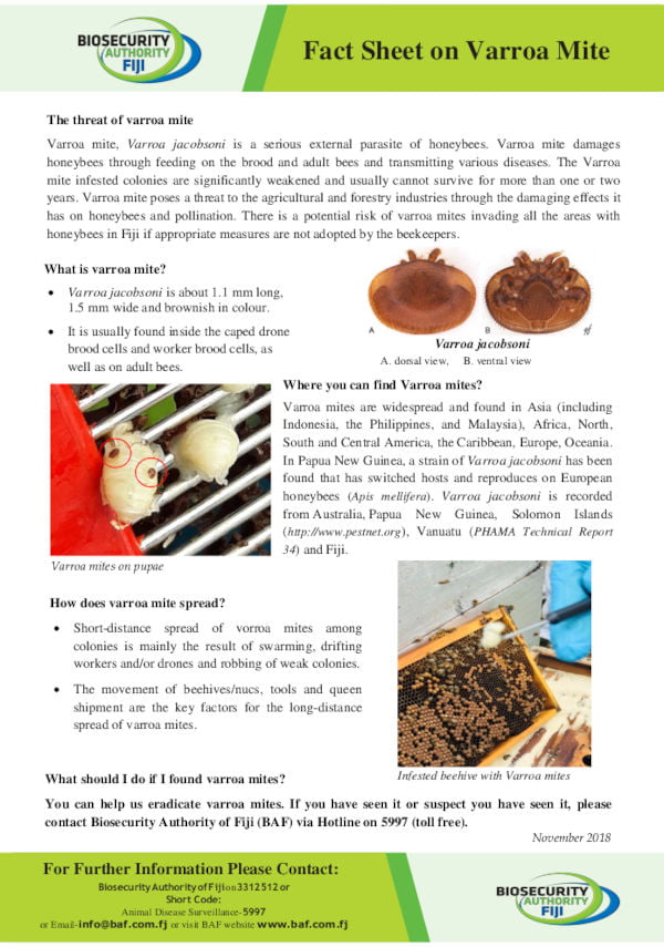 Biosecurity Authority of Fiji (BAF) Fact Sheet on Varroa Mite - November 2018