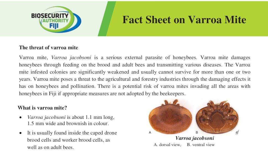 Biosecurity Authority of Fiji (BAF) Fact Sheet on Varroa Mite - November 2018