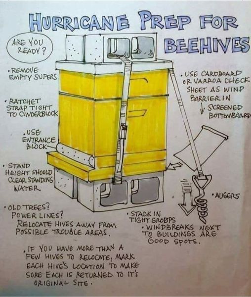 Secure hives together and/or to a heavy object & strap hives down. You will need ratchet straps or rope and ground anchors (e.g., fence post/star pickets) to secure your hive. Securing the hives with ratchet straps or rope will help to keep it in one place and one piece. Consider securing the hives both horizontally and vertically, and securing them all together if you have multiple hives