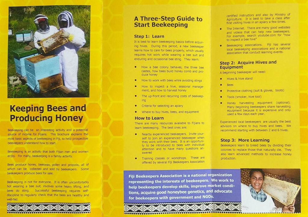 bee-lessons-