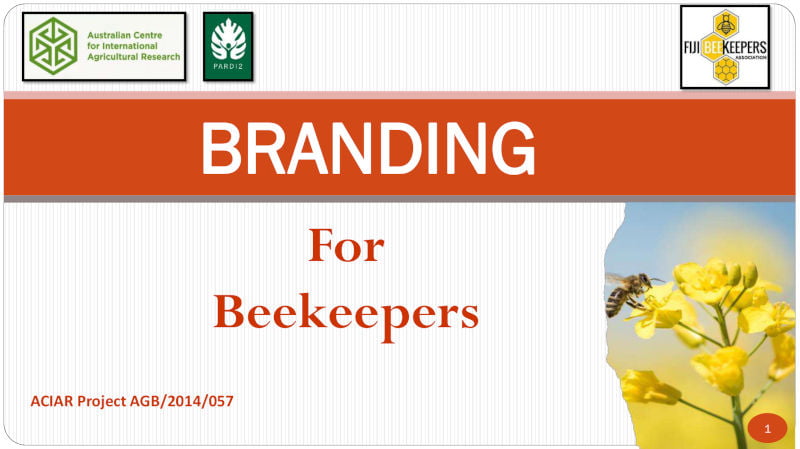 webinar-bee-honey-branding