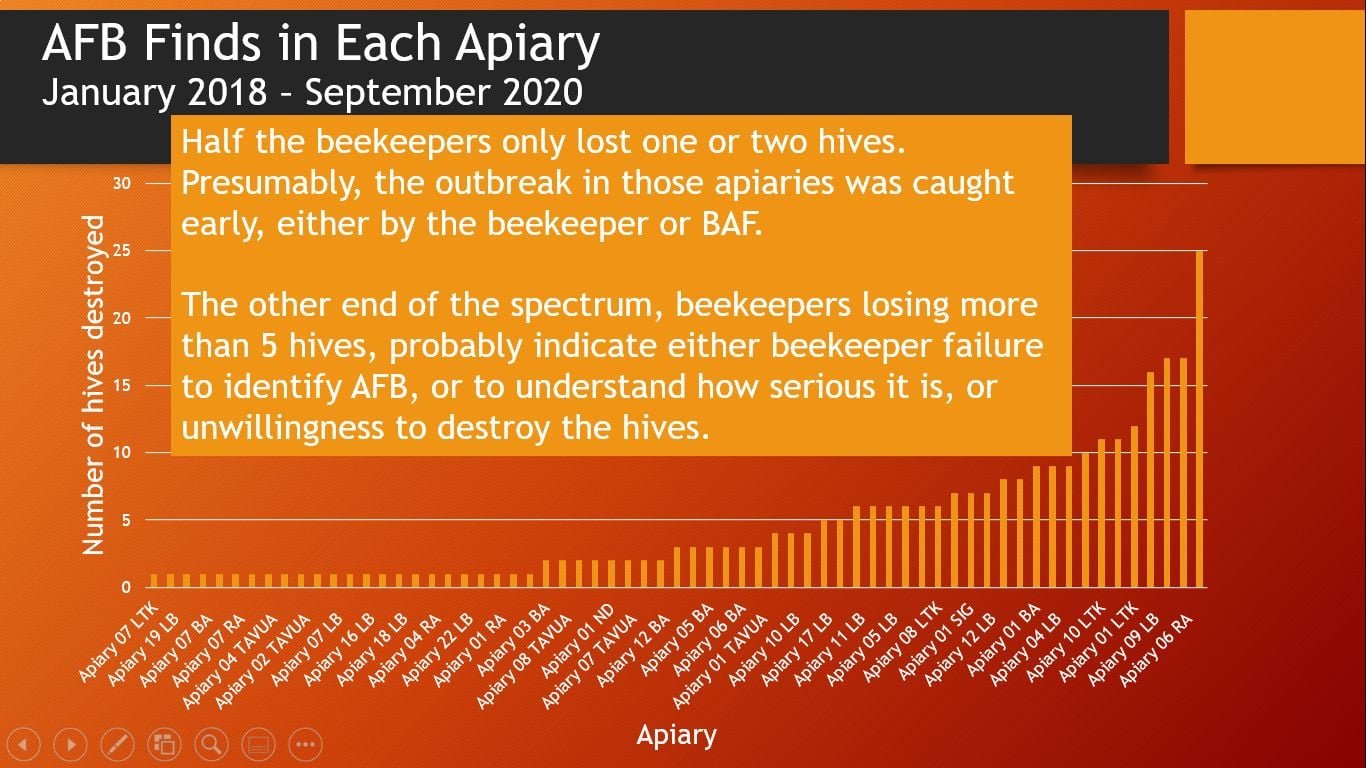 During the past few years, more than half the apiaries in Fiji that became infected with AFB only lost one or two hives because it was diagnosed early and the hives were destroyed. However, some apiaries lost five or more hives, a few more than 10, and one apiary lost 25(!) hives. Most were preventable losses. See the photo below.