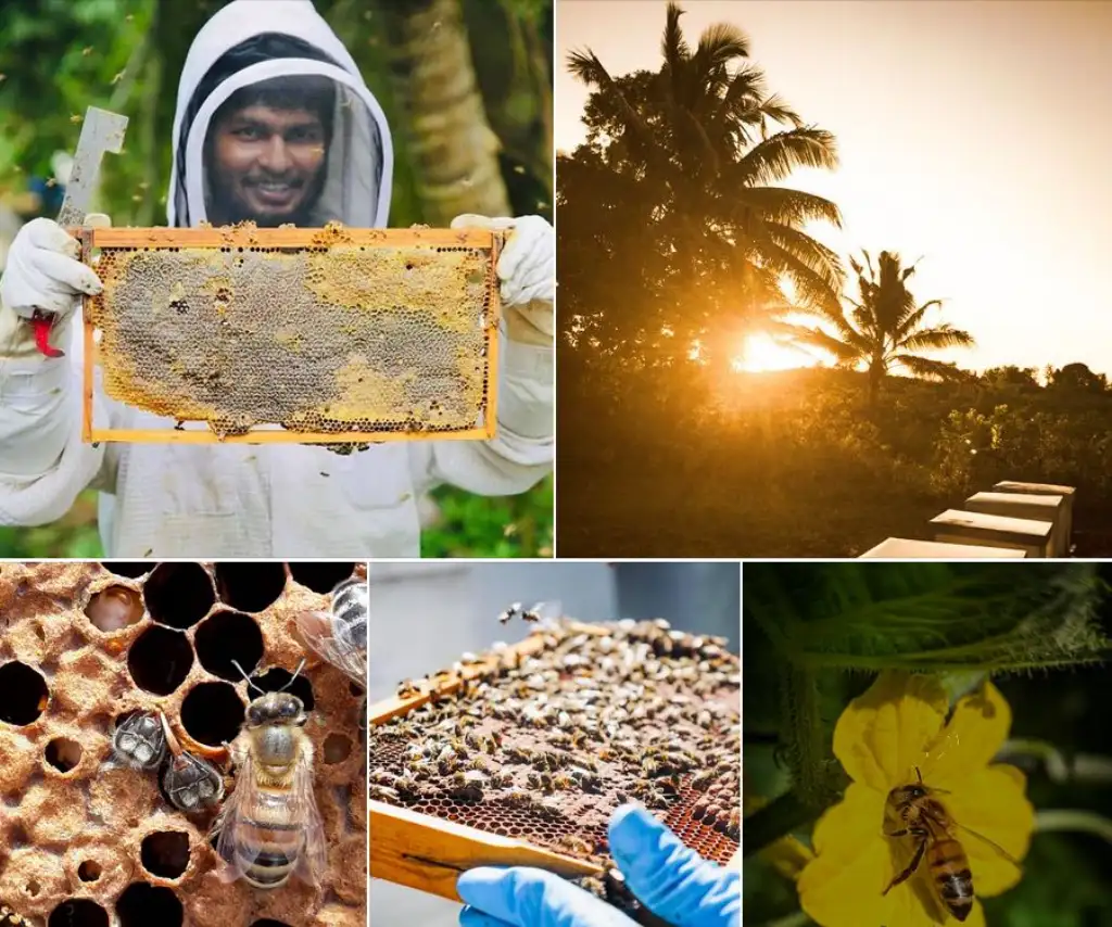 PACIFIC-BEEKEEPERS-PHOTO-CONTEST