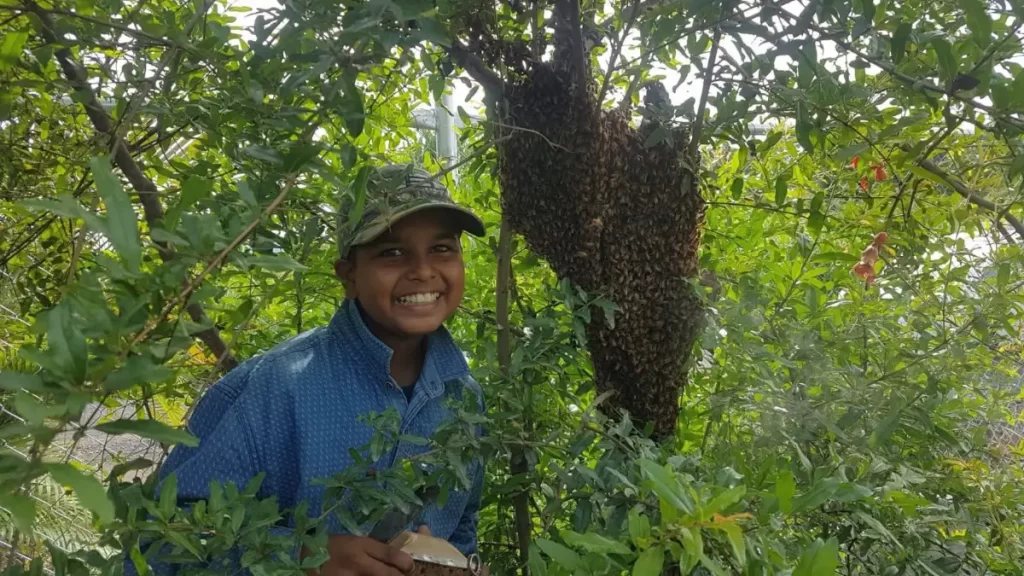 Sufyaan-and-Swarm.-1st-Place-overall-and-Bees-in-Nature-category-Wahid-Malawiya-of-Fiji