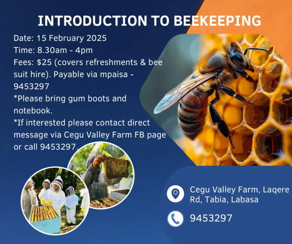 INTRODUCTION TO BEEKEEPING - 15 February 2025 -Cegu Valley Farm Date: 15 February 2025 Time: 8.30am - 4pm Fees: $25 (covers refreshments & bee suit hire). Payable via mpaisa -9453297 *Please bring gum boots and notebook. *If interested please contact direct message via Cegu Valley Farm FB page or call 9453297. 9453297